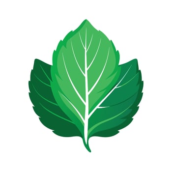 Realistic Beautiful Leaves Illustration vector
