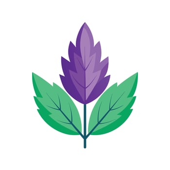 Realistic Beautiful Leaves Illustration vector