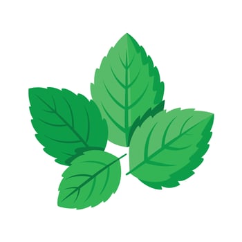 Realistic Beautiful Leaves Illustration vector