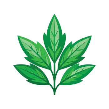 Realistic Beautiful Leaves Illustration vector