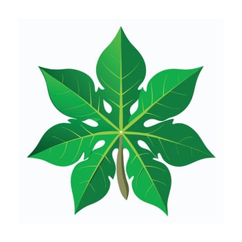 Realistic Beautiful Leaves Illustration vector