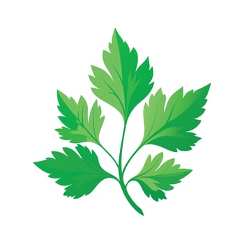 Realistic Beautiful Leaves Illustration vector