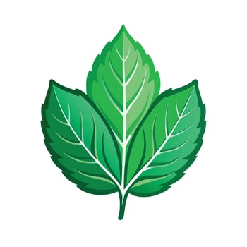 Realistic Beautiful Leaves Illustration vector