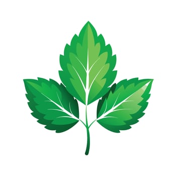 Realistic Beautiful Leaves Illustration vector