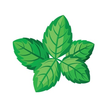 Realistic Beautiful Leaves Illustration vector