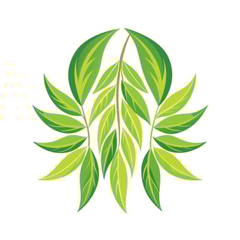 Realistic Beautiful Leaves Illustration vector