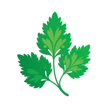 Realistic Beautiful Leaves Illustration vector