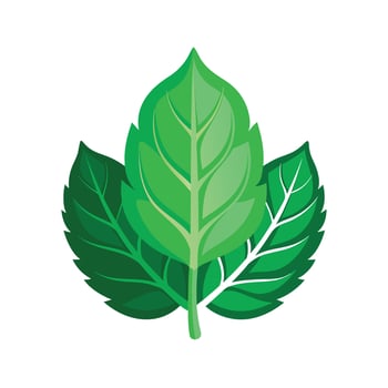 Realistic Beautiful Leaves Illustration vector