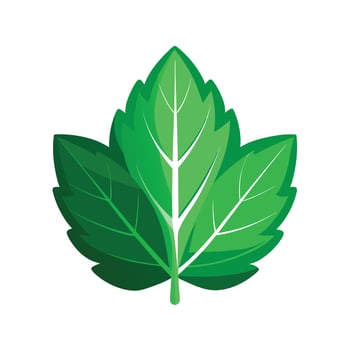 Realistic Beautiful Leaves Illustration vector
