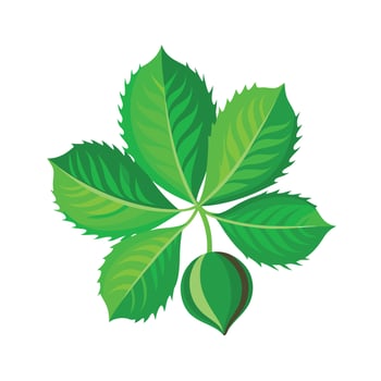 Realistic Beautiful Leaves Illustration vector