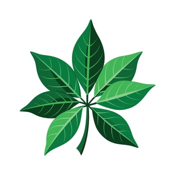 Realistic Beautiful Leaves Illustration vector