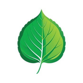 Realistic Beautiful Leaves Illustration vector