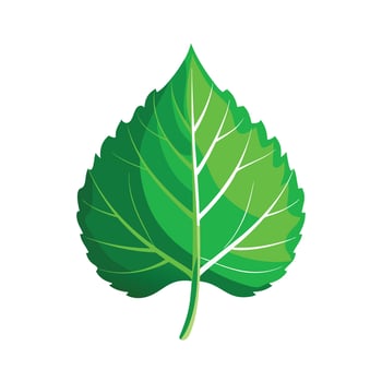 Realistic Beautiful Leaves Illustration vector