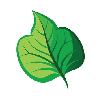 Realistic Beautiful Leaves Illustration vector