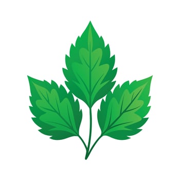 Realistic Beautiful Leaves Illustration vector
