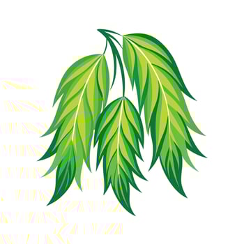 Realistic Beautiful Leaves Illustration vector