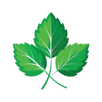 Realistic Beautiful Leaves Illustration vector