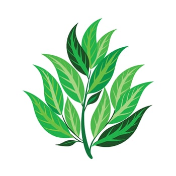 Realistic Beautiful Leaves Illustration vector