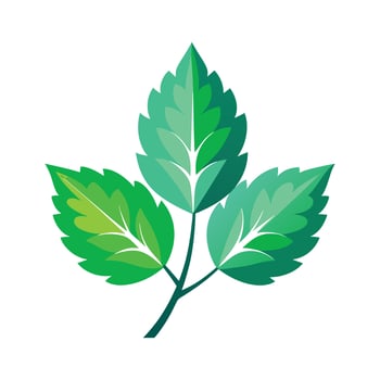 Realistic Beautiful Leaves Illustration vector