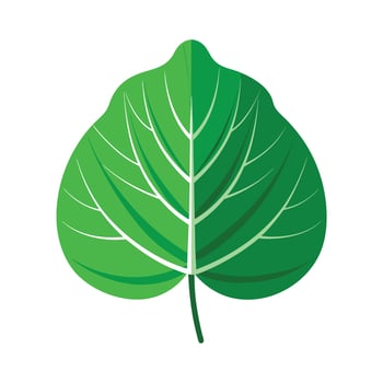 Realistic Beautiful Leaves Illustration vector