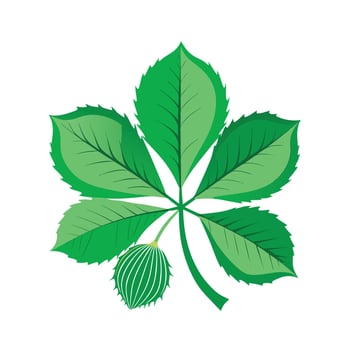 Realistic Beautiful Leaves Illustration vector