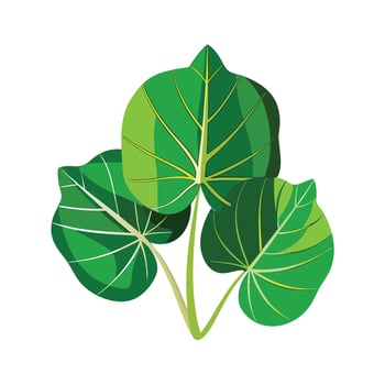 Realistic Beautiful Leaves Illustration vector