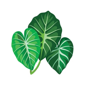 Realistic Beautiful Leaves Illustration vector