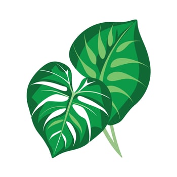 Realistic Beautiful Leaves Illustration vector