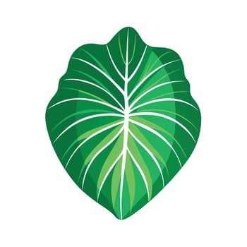 Realistic Beautiful Leaves Illustration vector