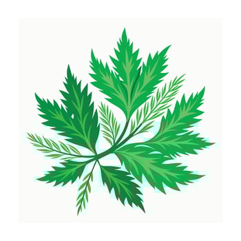 Realistic Beautiful Leaves Illustration vector