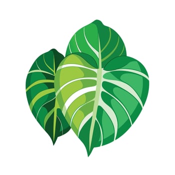 Realistic Beautiful Leaves Illustration vector