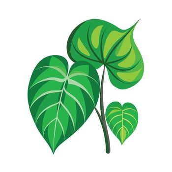 Realistic Beautiful Leaves Illustration vector