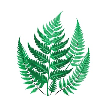 Realistic Beautiful Leaves Illustration vector