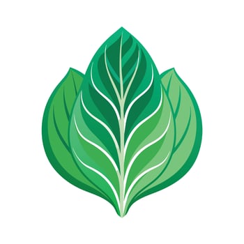 Realistic Beautiful Leaves Illustration vector