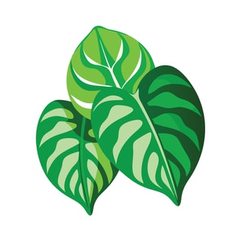 Realistic Beautiful Leaves Illustration vector