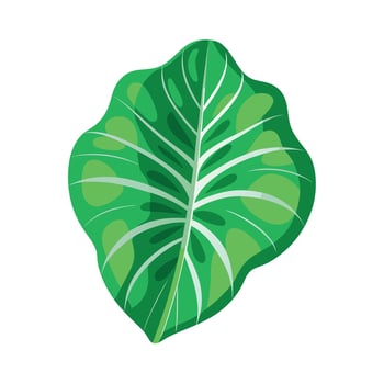 Realistic Beautiful Leaves Illustration vector