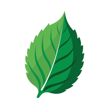 Realistic Beautiful Leaves Illustration vector