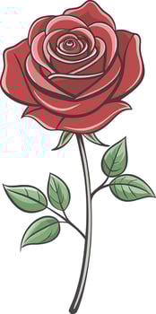 Beautiful The Nature Red Rose Flower With Green Leaf On Plain White Background vector