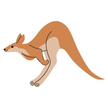 Kangaroo jump illustration png