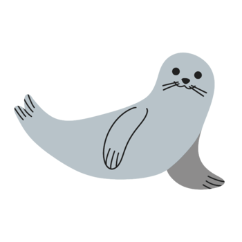 Seal illustration character png