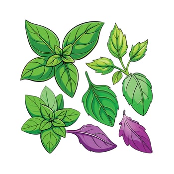 Realistic Beautiful Herbs Illustration vector