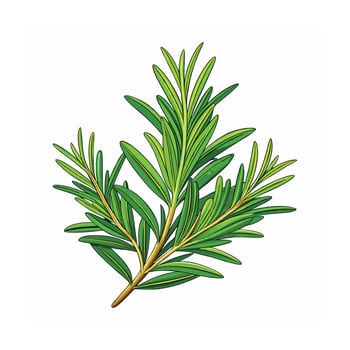 Realistic Beautiful Herbs Illustration vector