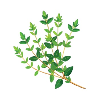 Realistic Beautiful Herbs Illustration vector