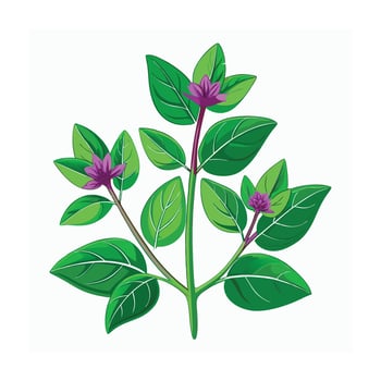 Realistic Beautiful Herbs Illustration vector