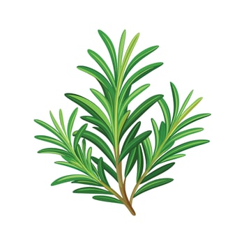 Realistic Beautiful Herbs Illustration vector