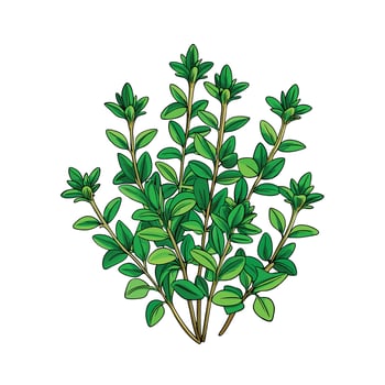 Realistic Beautiful Herbs Illustration vector