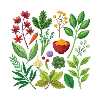 Realistic Beautiful Herbs Illustration vector