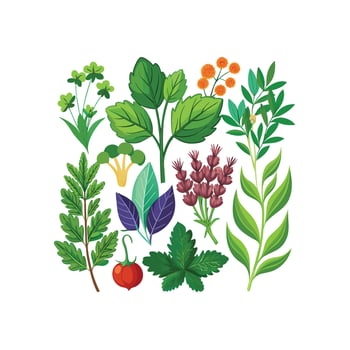 Realistic Beautiful Herbs Illustration vector