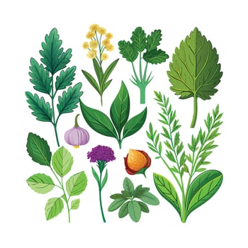 Realistic Beautiful Herbs Illustration vector