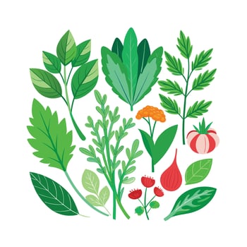 Realistic Beautiful Herbs Illustration vector